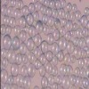 Application of Glass microspheres in plastic, rubber etc