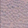 Manufacturer of Hollow Glass Microspheres